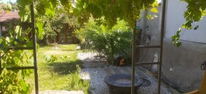 foto prodej zahrada s vínem 31